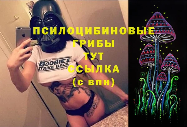 дурь Михайловск