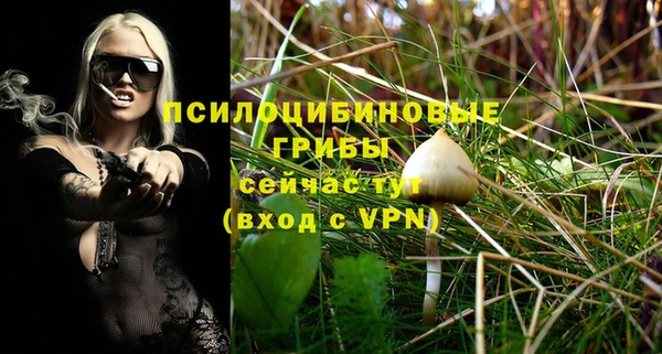 дурь Михайловск